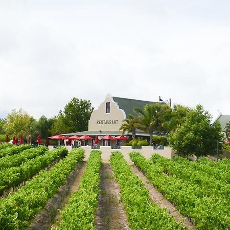 Skilpadvlei Wine Farm 스텔렌보스 외부 사진