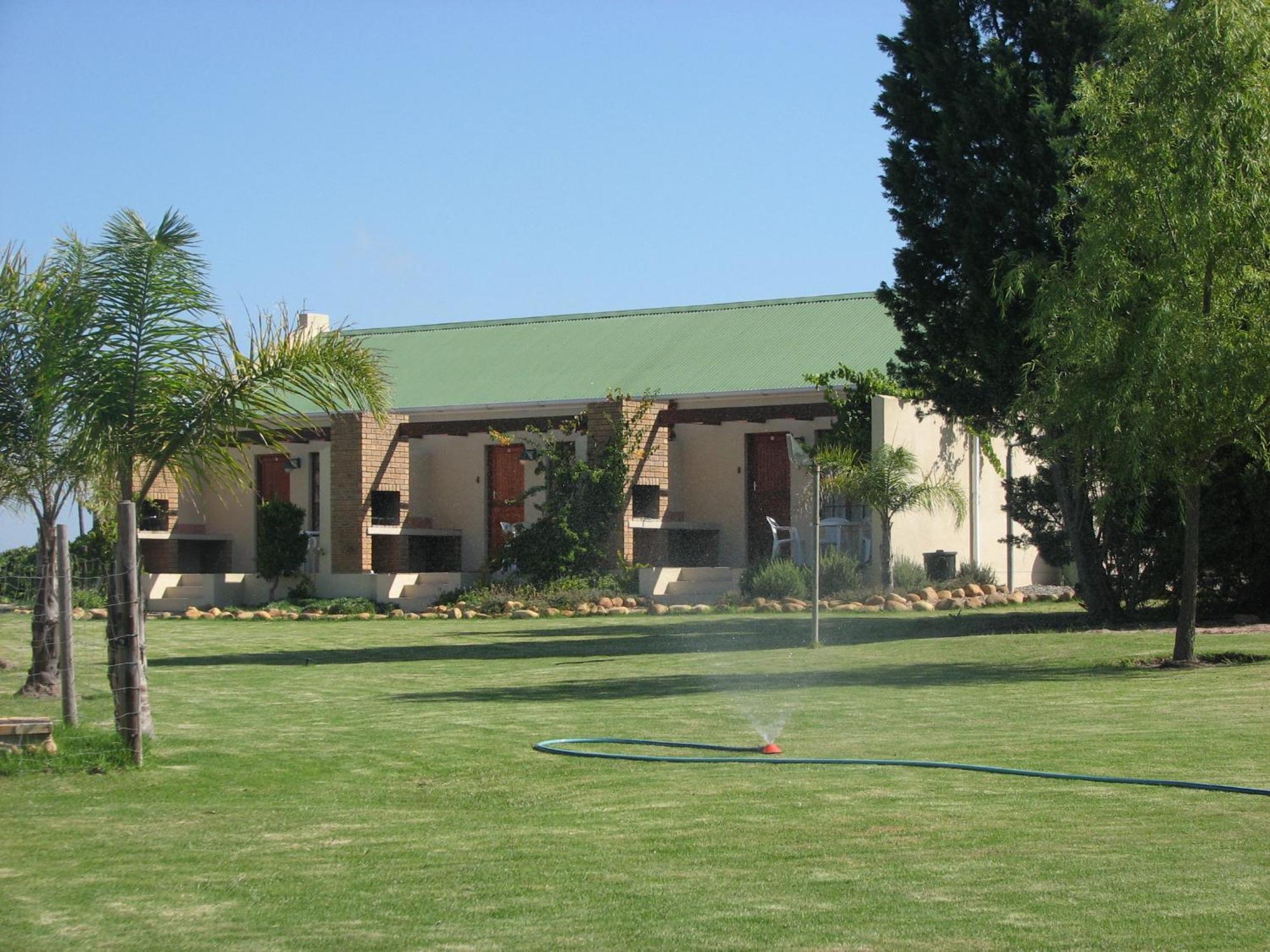 Skilpadvlei Wine Farm 스텔렌보스 객실 사진