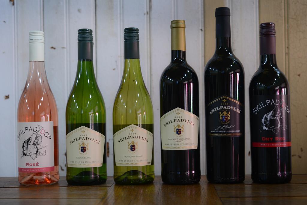 Skilpadvlei Wine Farm 스텔렌보스 외부 사진