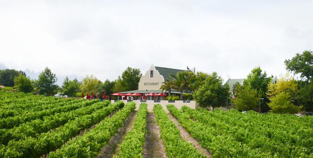 Skilpadvlei Wine Farm 스텔렌보스 외부 사진