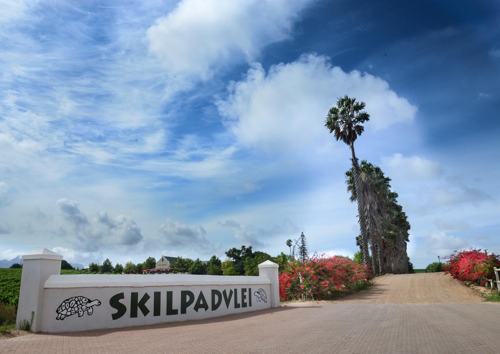 Skilpadvlei Wine Farm 스텔렌보스 외부 사진