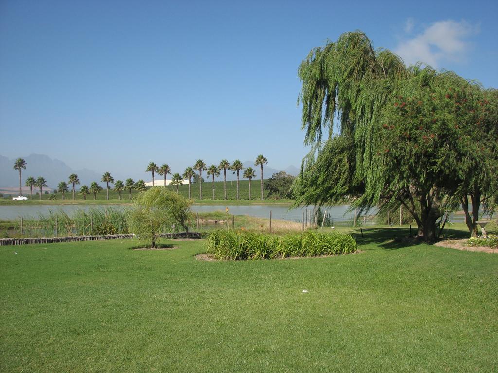 Skilpadvlei Wine Farm 스텔렌보스 외부 사진